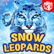 Snow Leopard